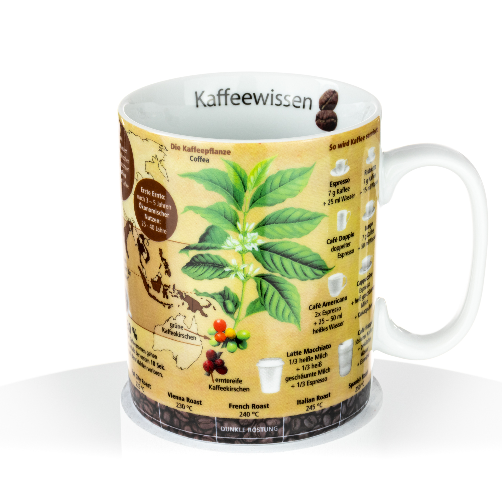 Porzellantasse "Wissensbecher Kaffee"